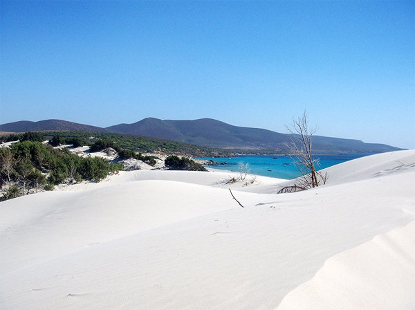 Porto Pino