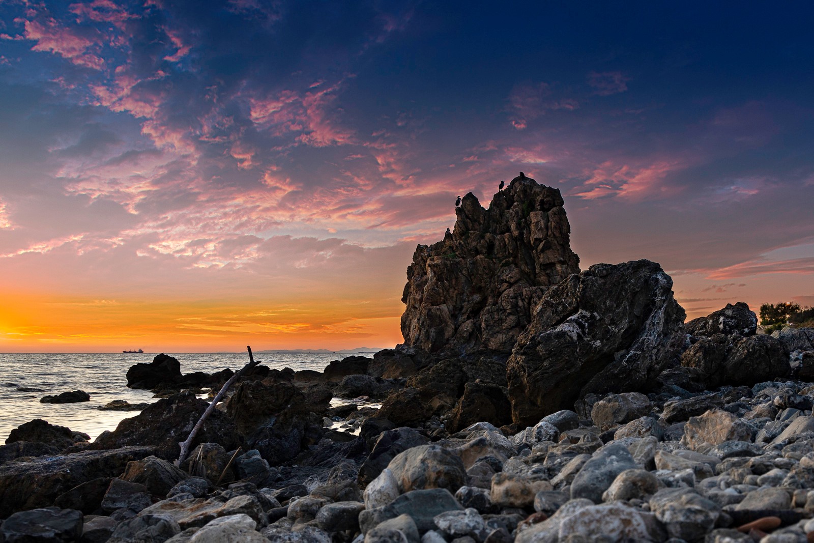 scoglio della ballerina livorno