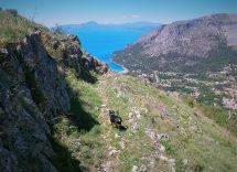 sentiero del mediterraneo maratea