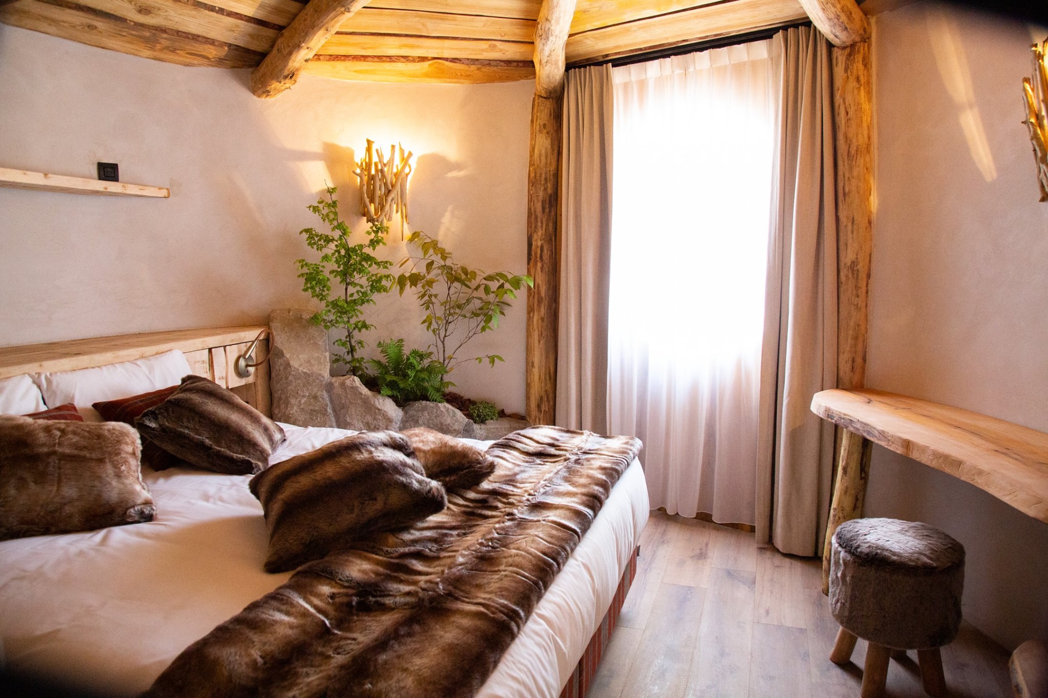 Suite zoo