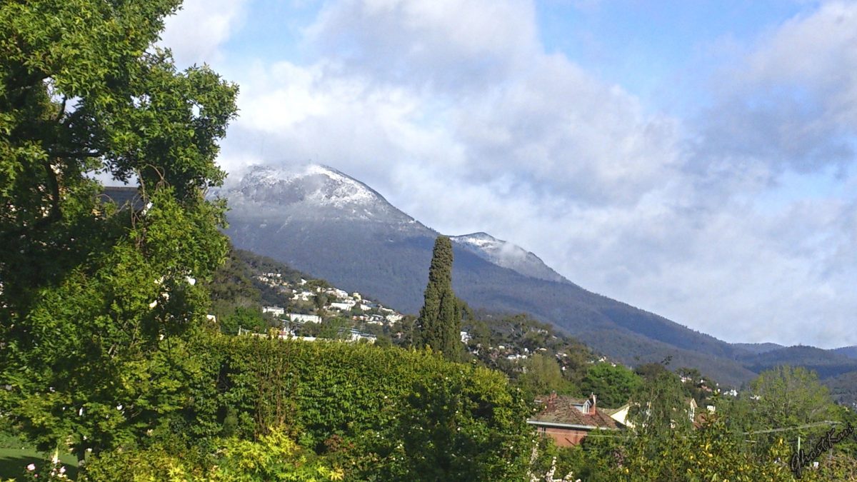 monte wellington