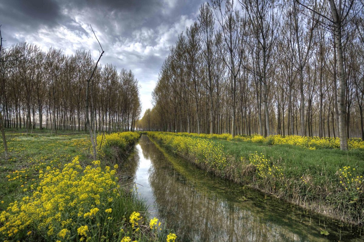 parco del mincio
