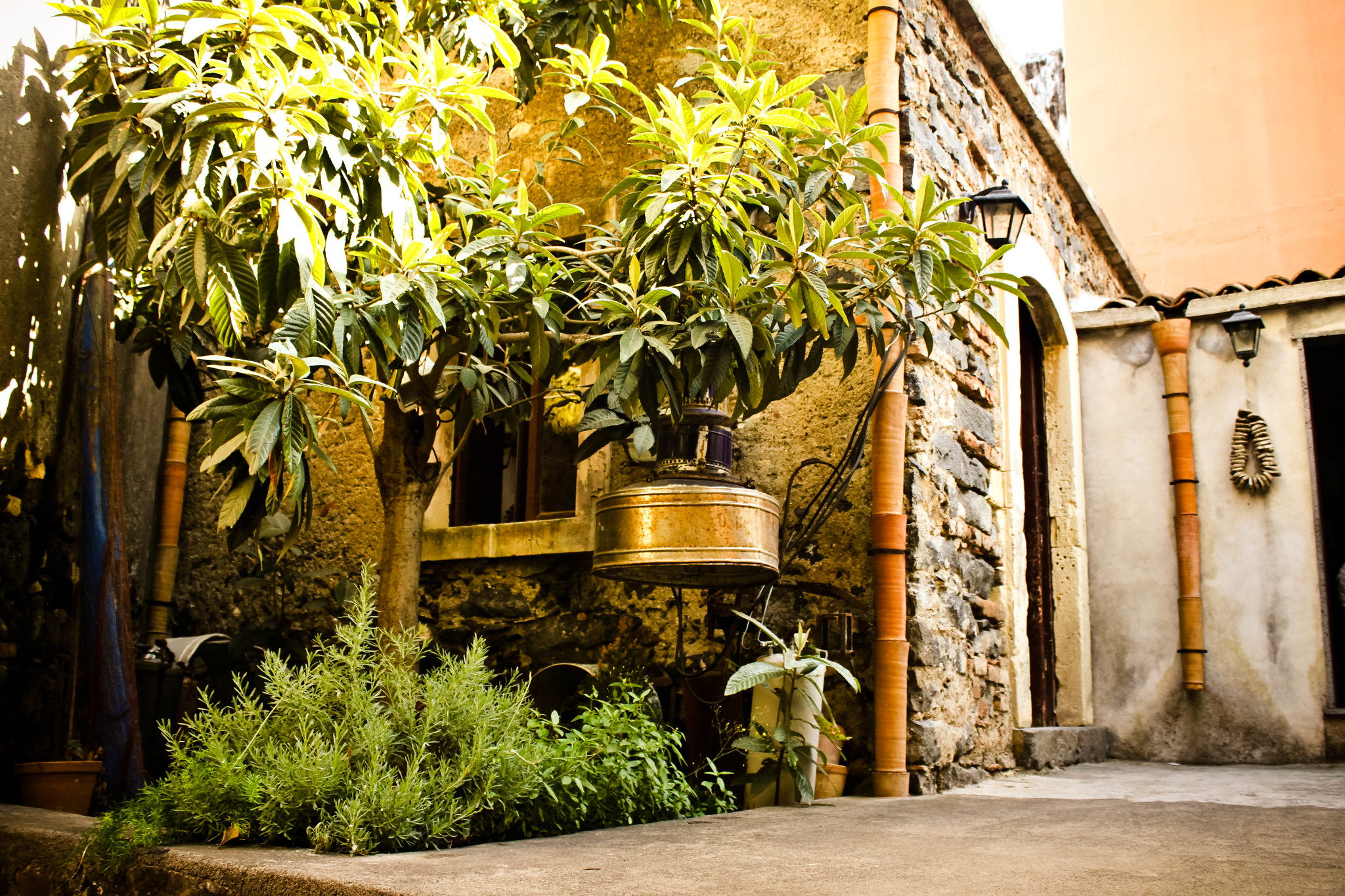 Casa del Nespolo