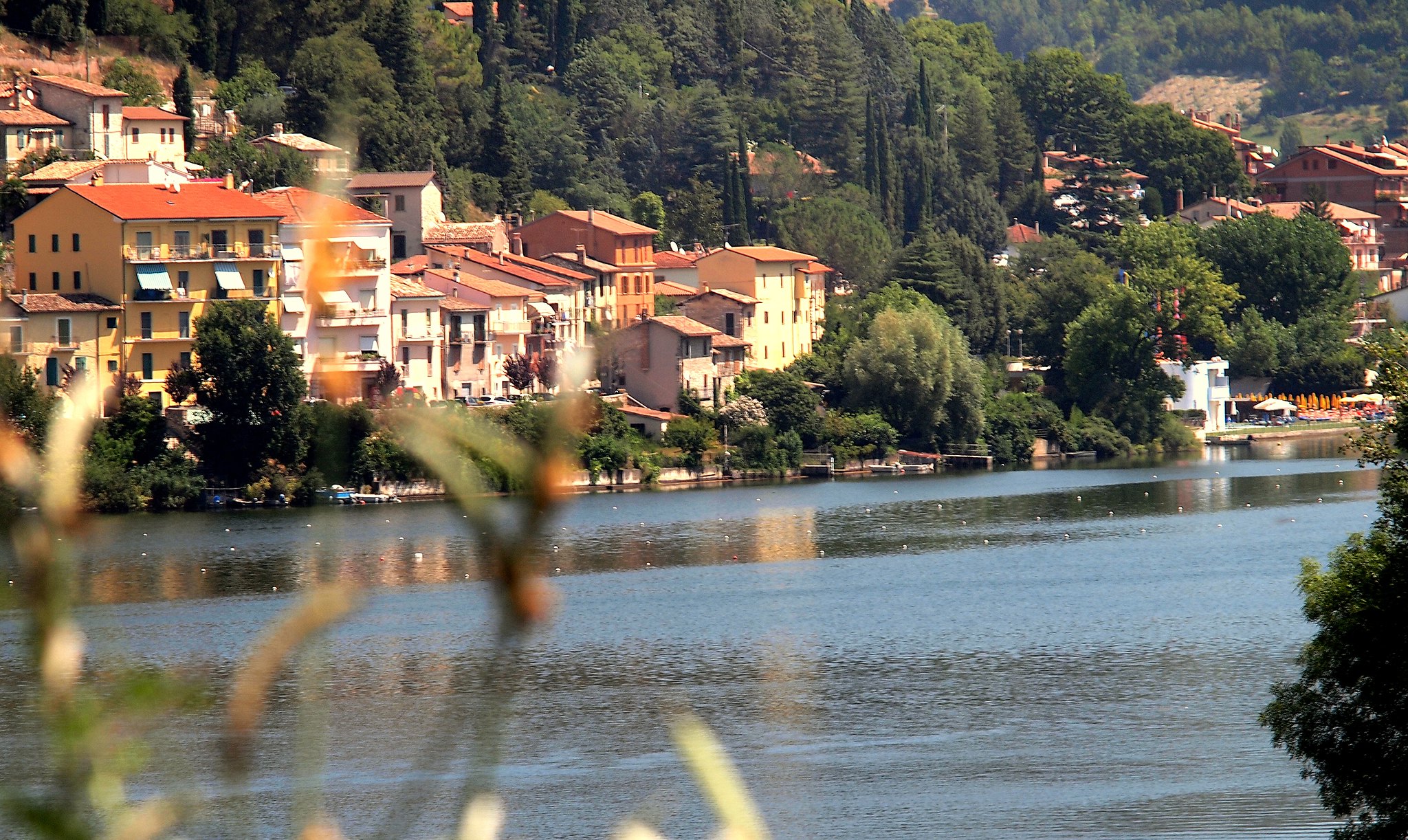Piediluco