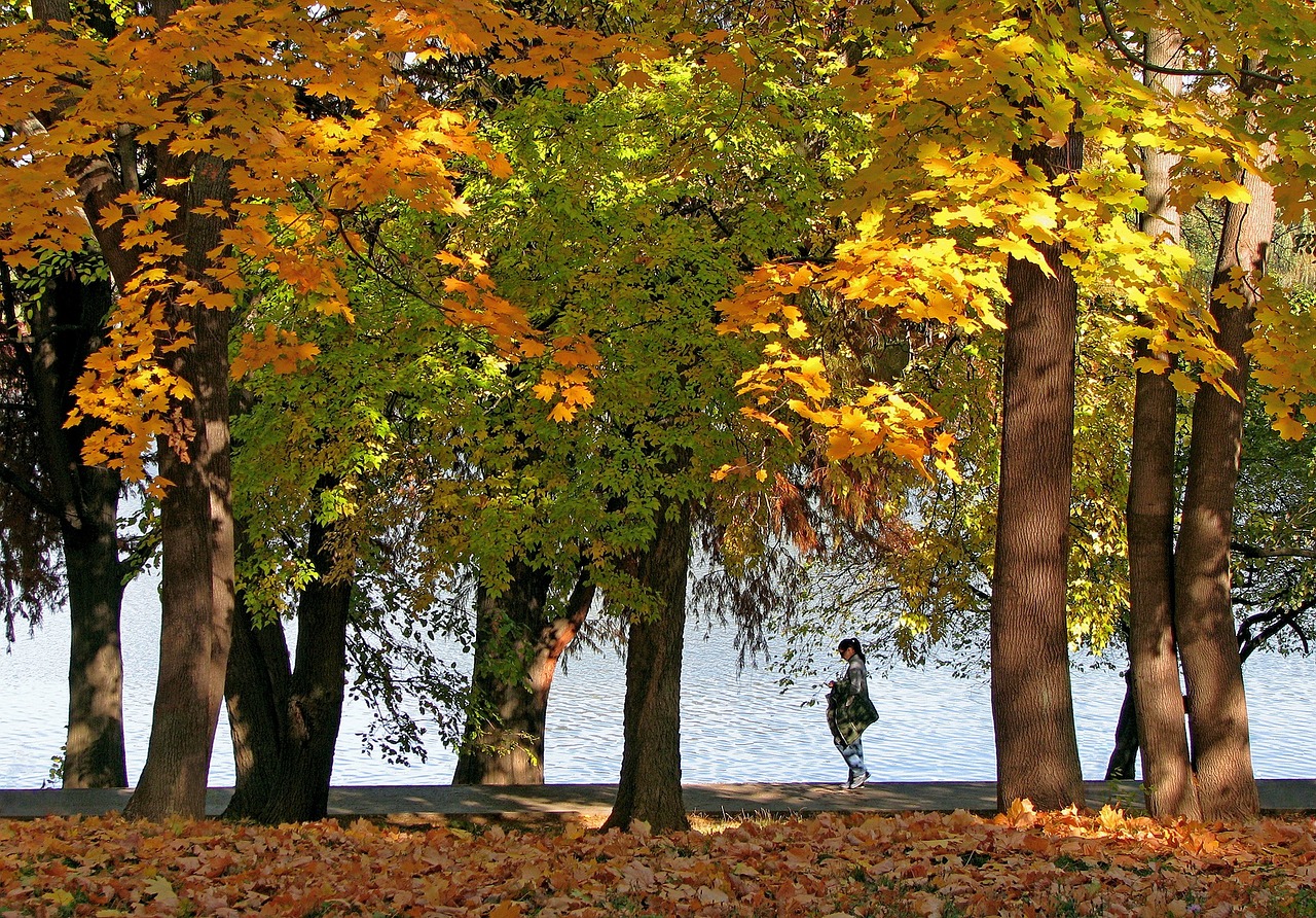 Parco Herăstrău