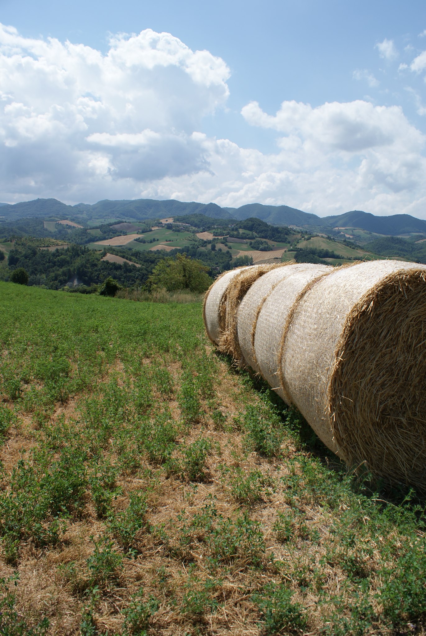 Azienda Agricola Viviana Vignandel