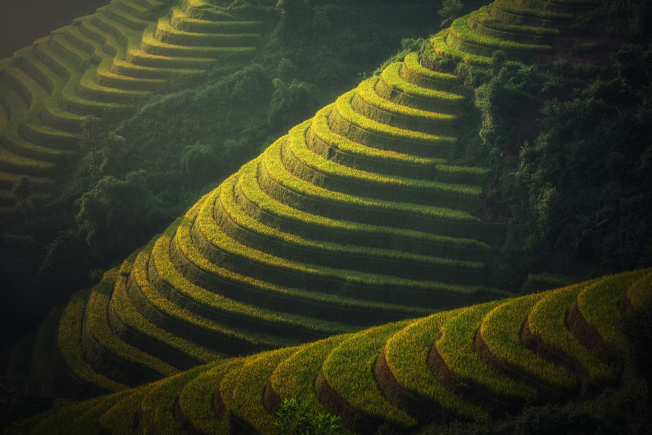 bali itinerario 15 giorni