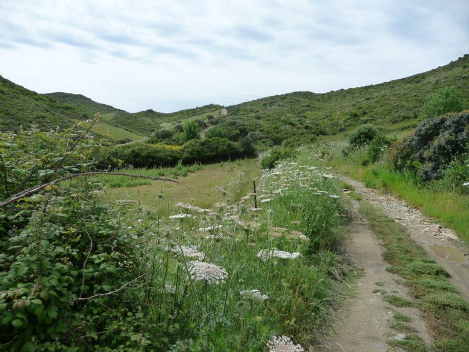Cammino sardegna