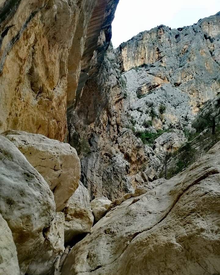 Canyon sardo