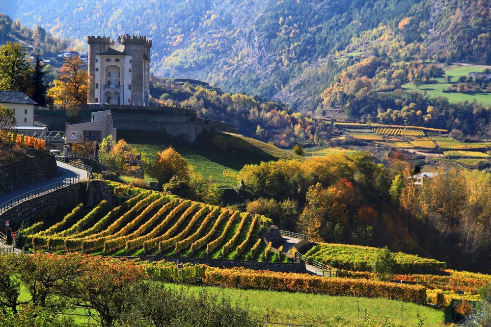 Castello Di Aymavilles