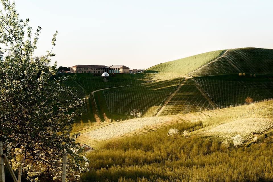Ceretto Aziende Vitivinicole