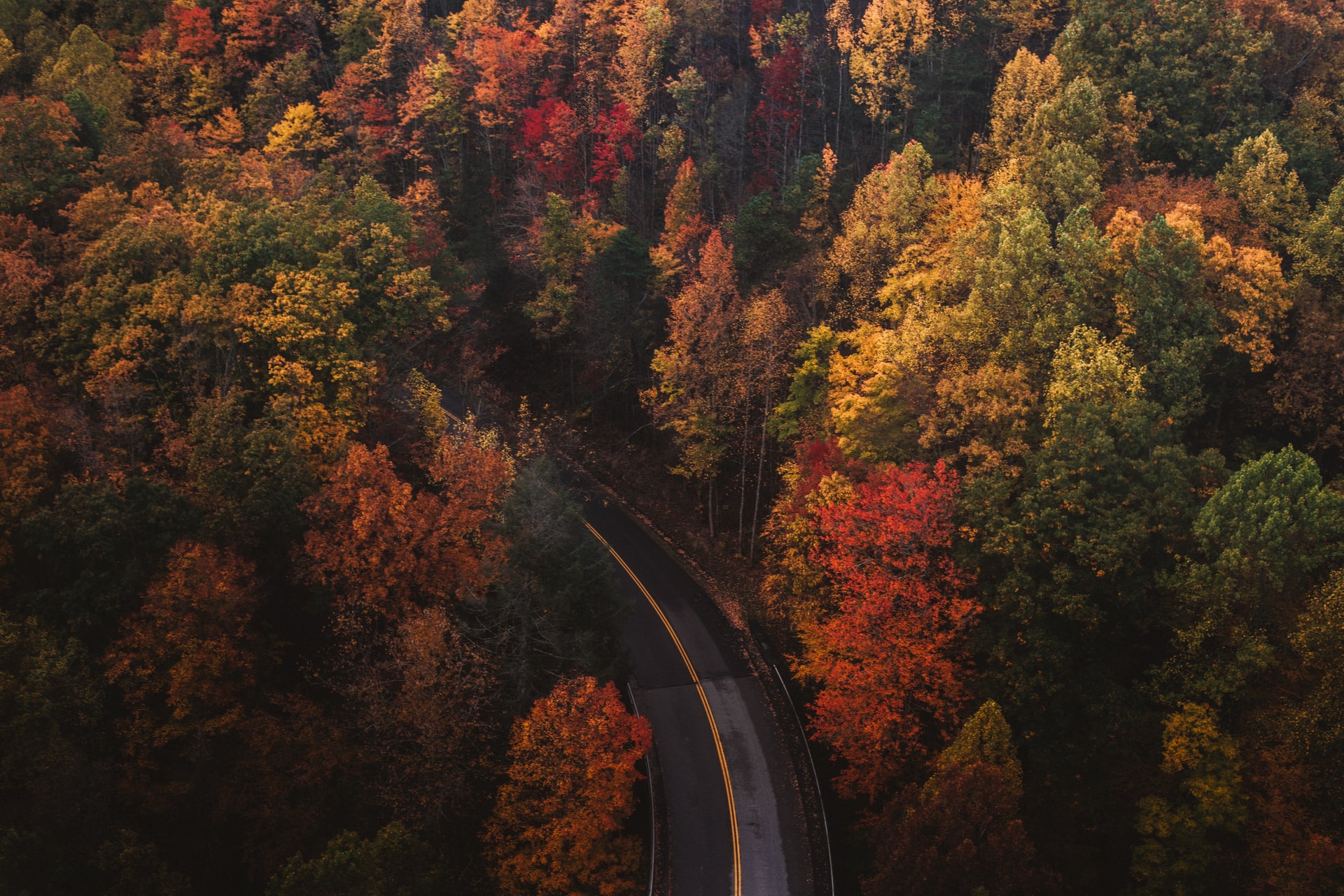 autunno