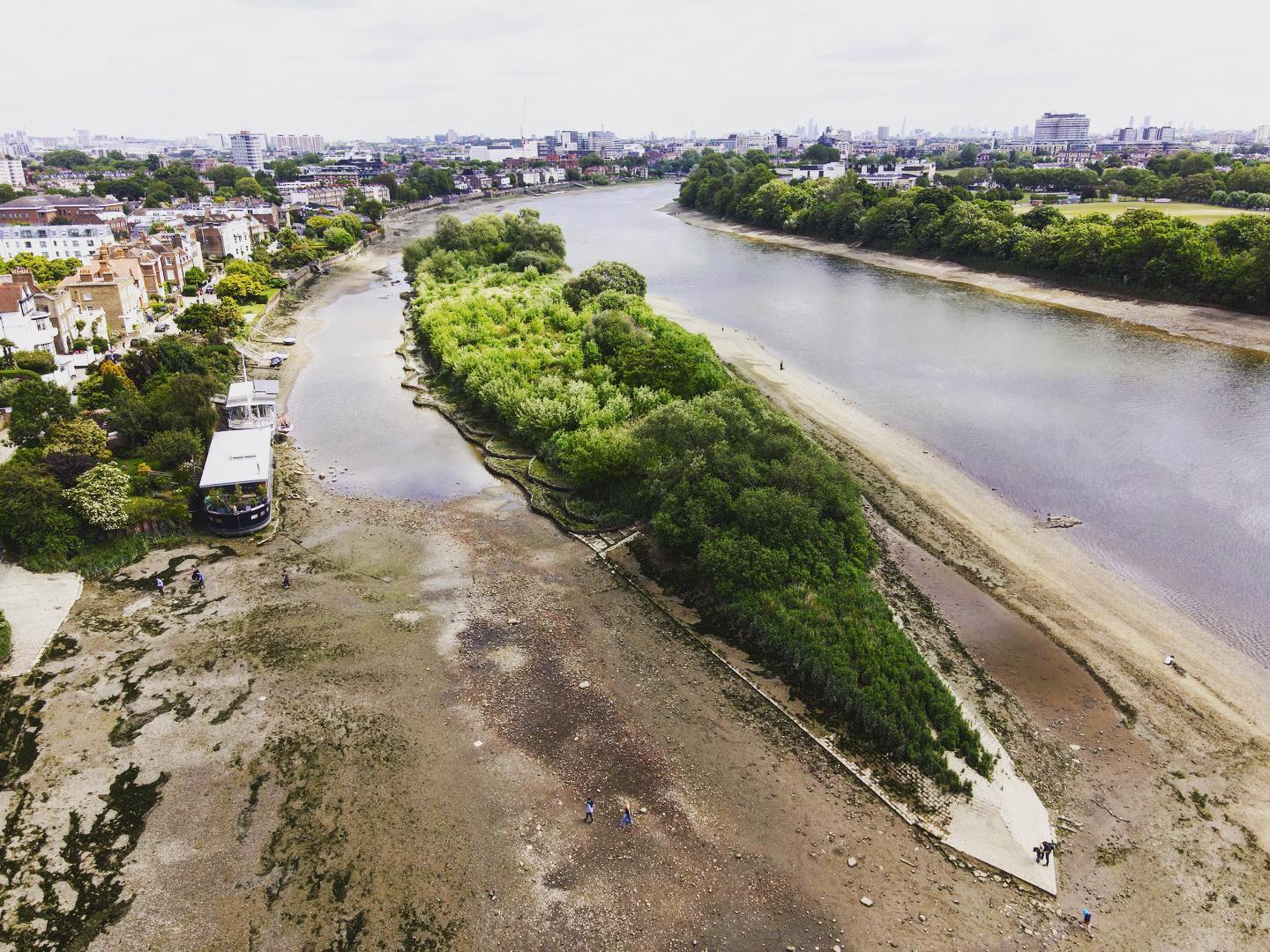 Chiswick Eyot