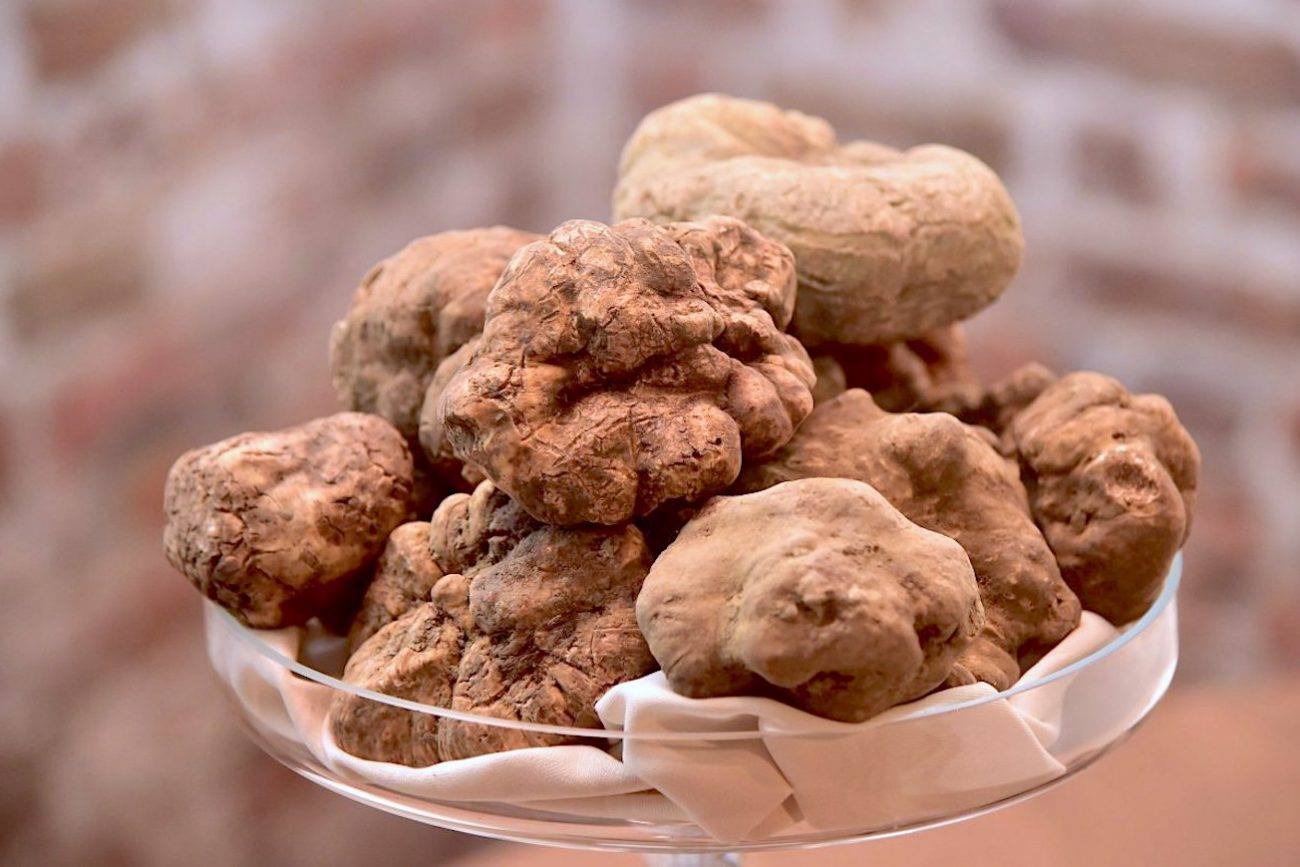 fiera tartufo acqualagna 2020