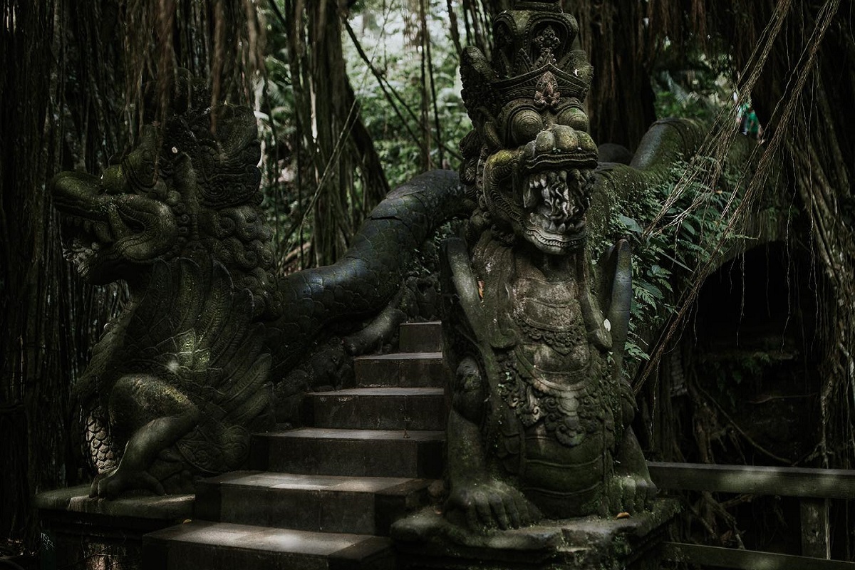 foresta delle scimmie ubud