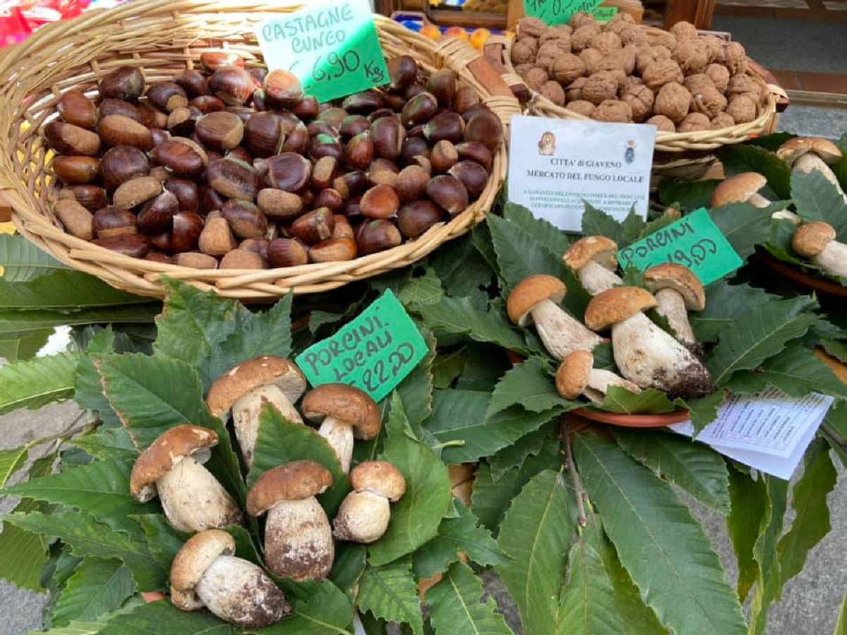 giaveno festa fungo