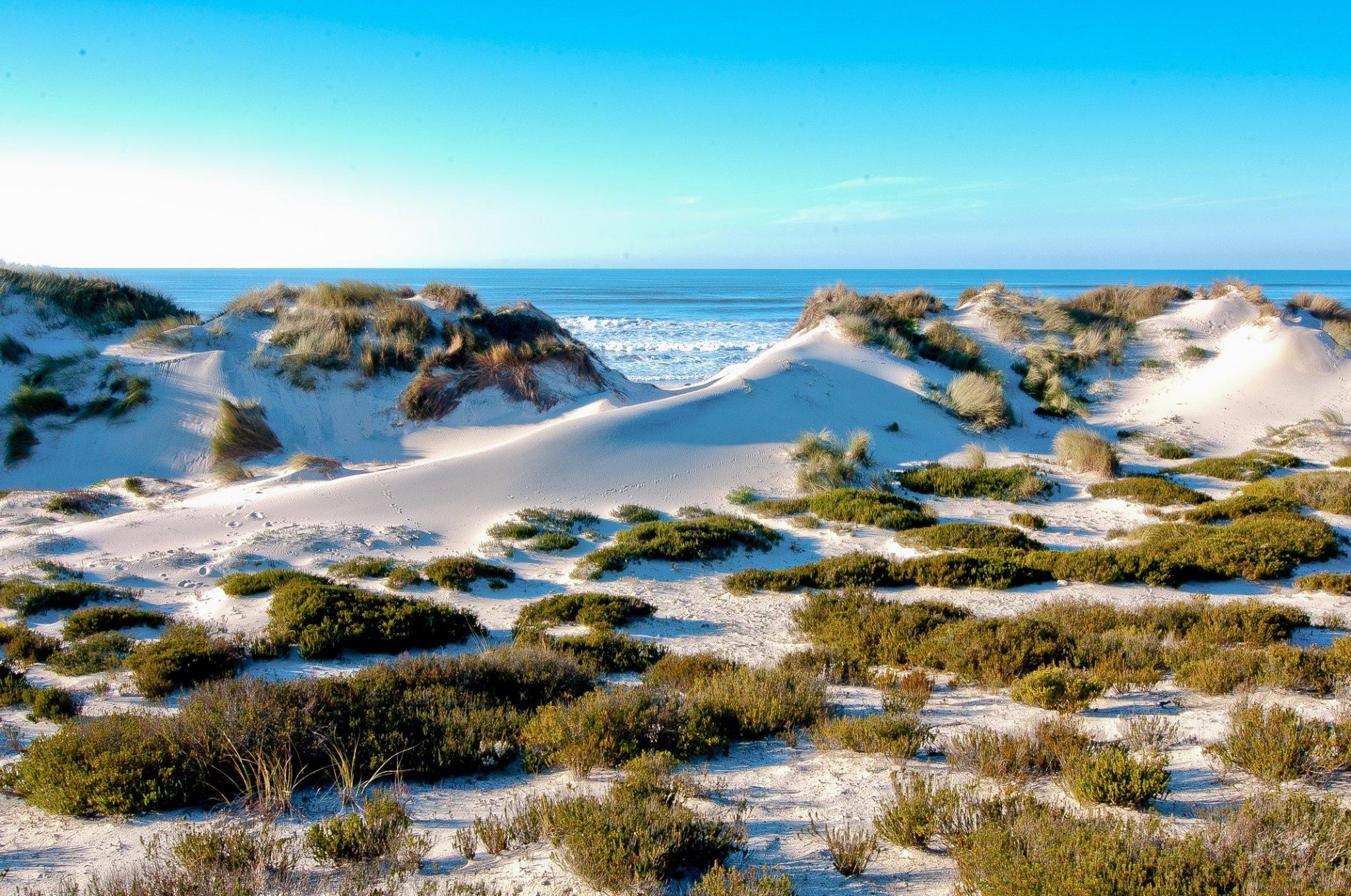 Ilha de Tavira