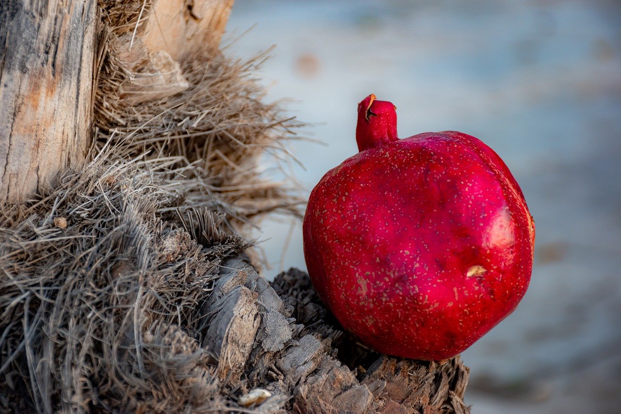 Rosh haShana