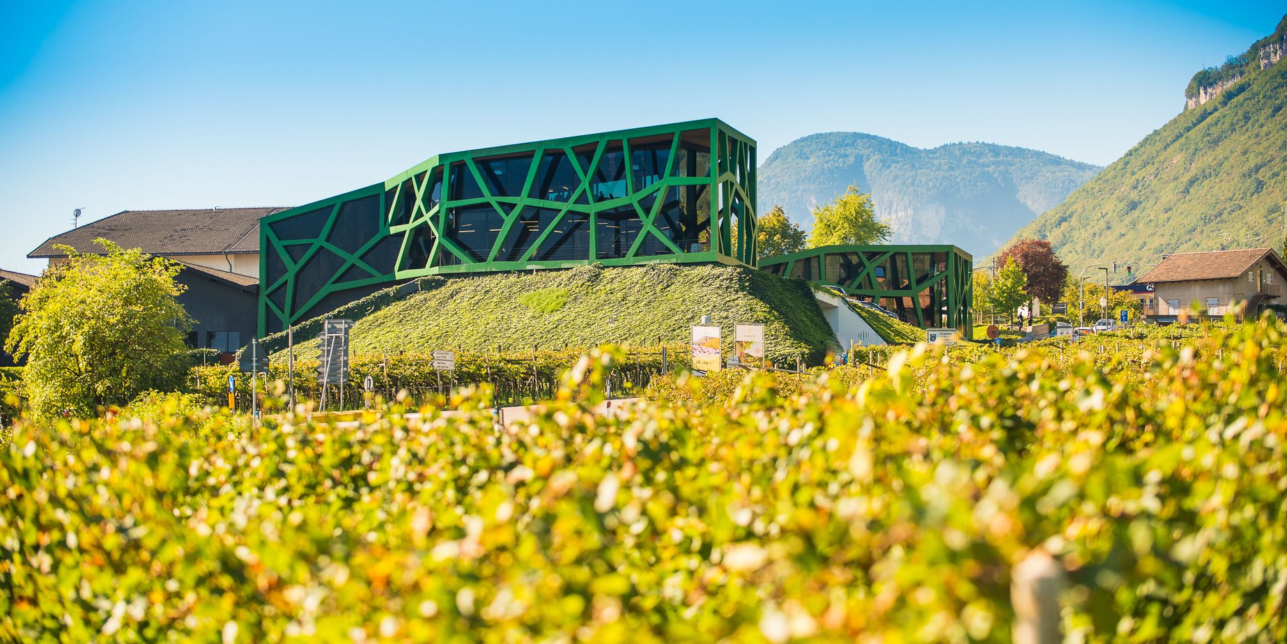 Kellerei Cantina Tramin