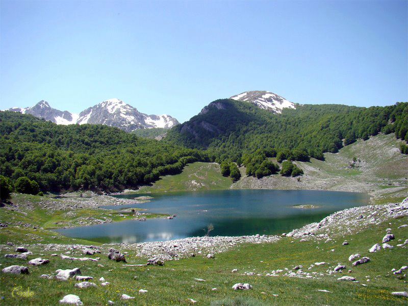 Lago Vivo
