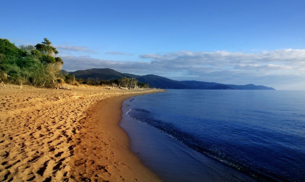 marina di alberese cosa vedere