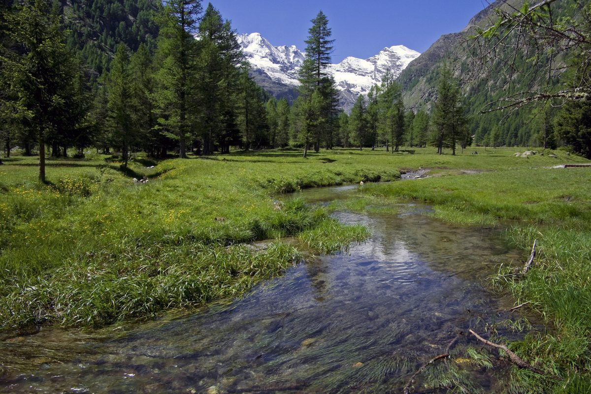 mountain-54016