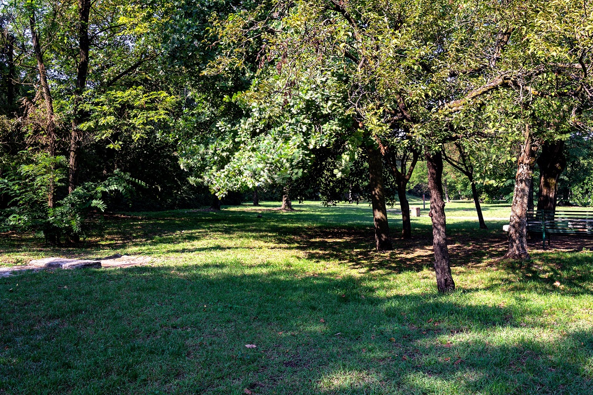 Parco della Galleana storia