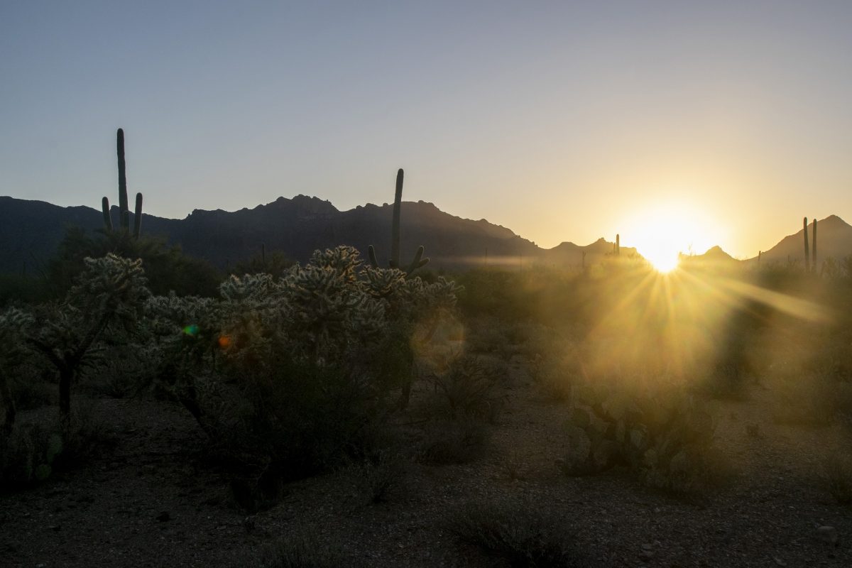 deserto sonora
