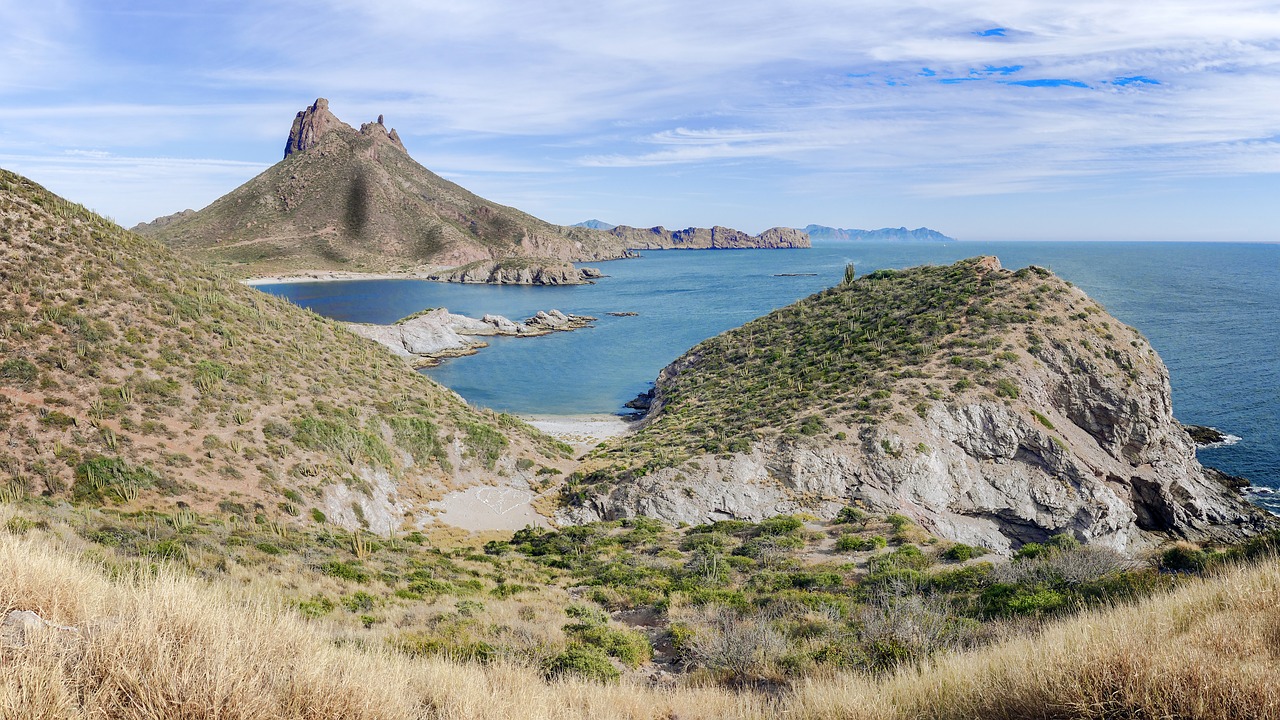 Deserto di Sonora