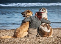 sarnico spiaggia per cani