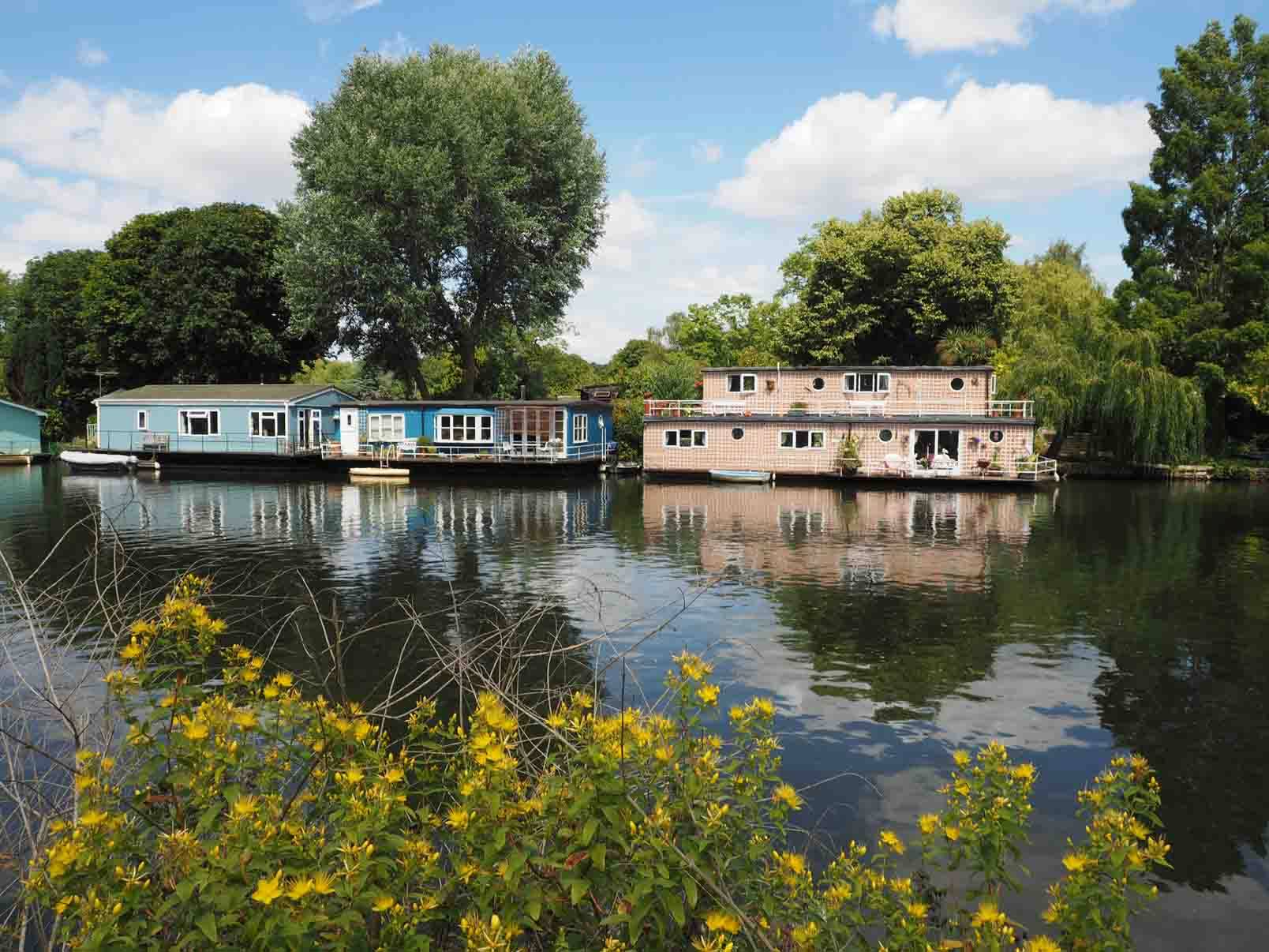 Taggs Island
