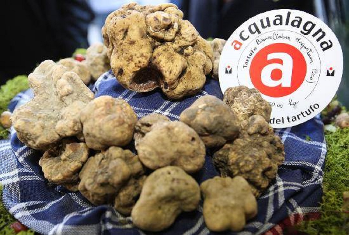 tartufo