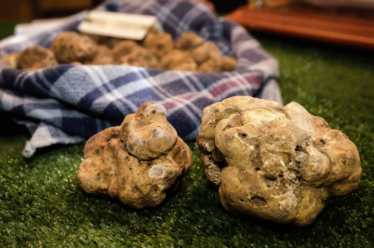 Tartufo
