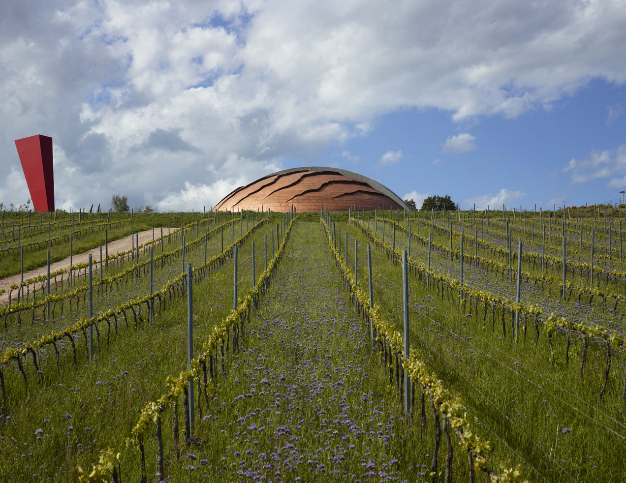 Tenuta Castelbuono