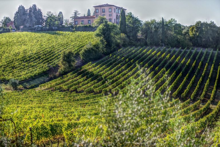 Weekend in vigna Toscana