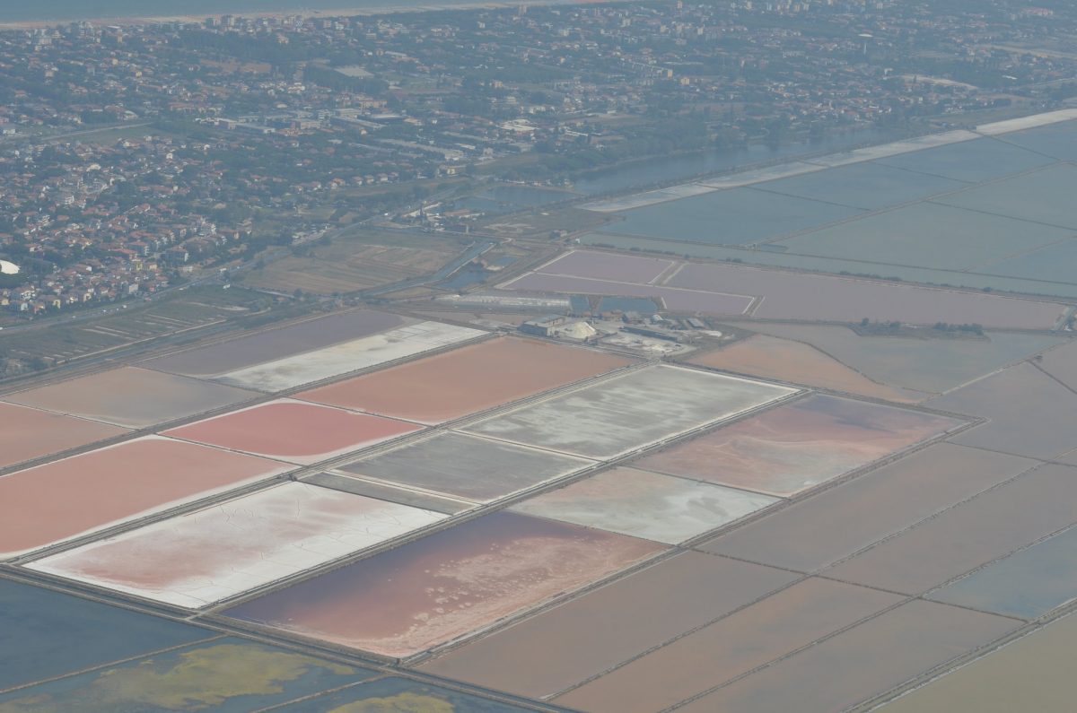 saline cervia