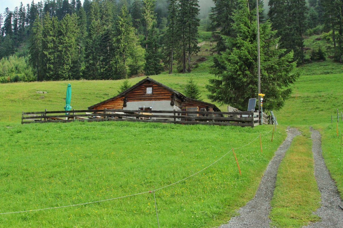 casa heidi