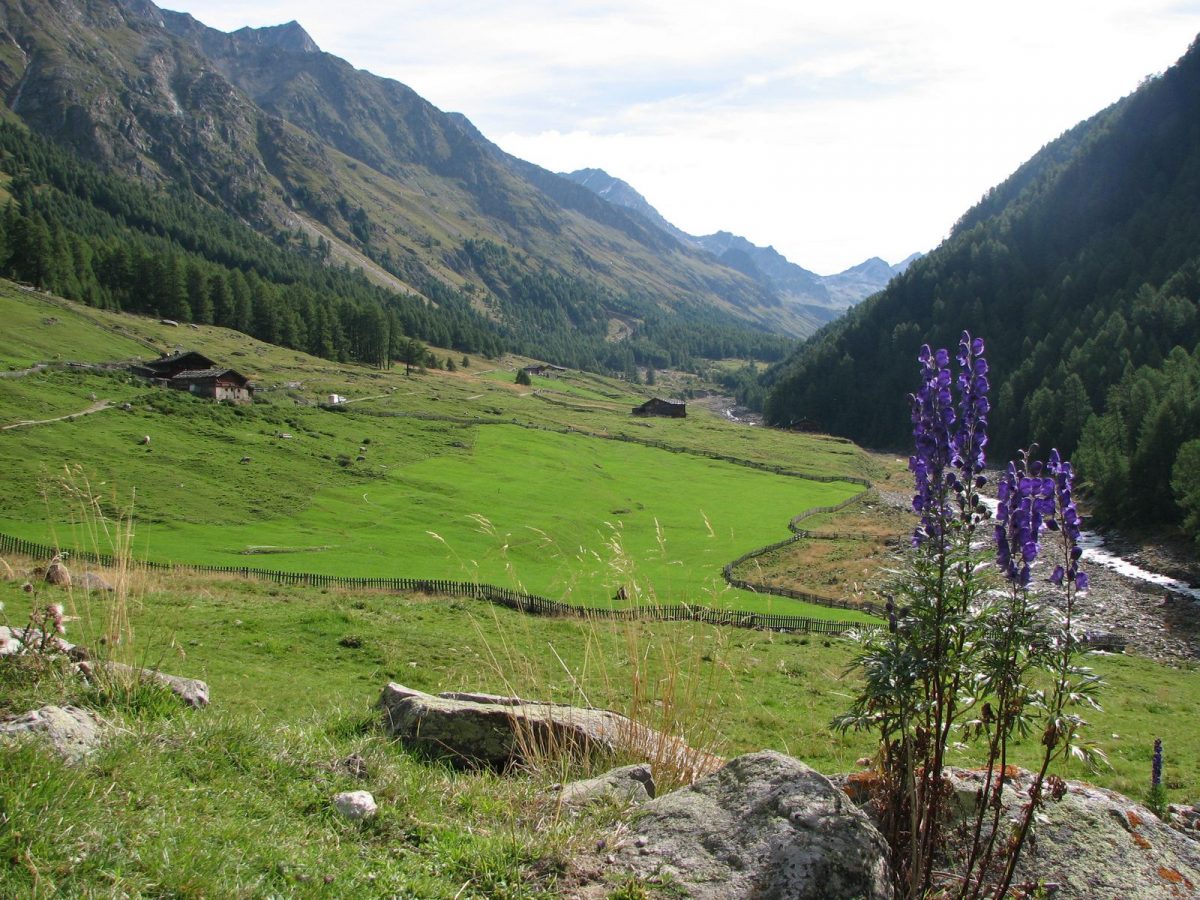 val di fosse