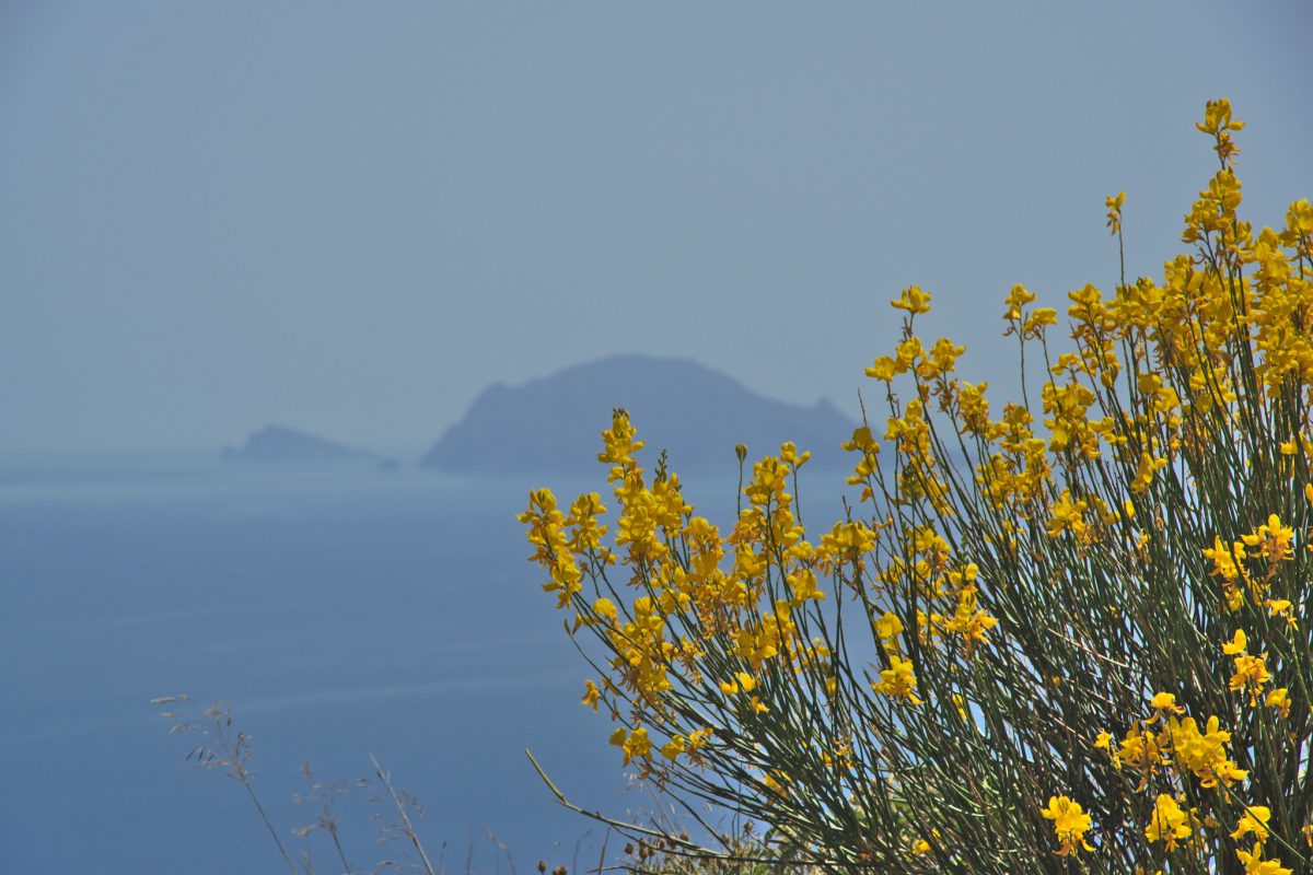 panorama da salina