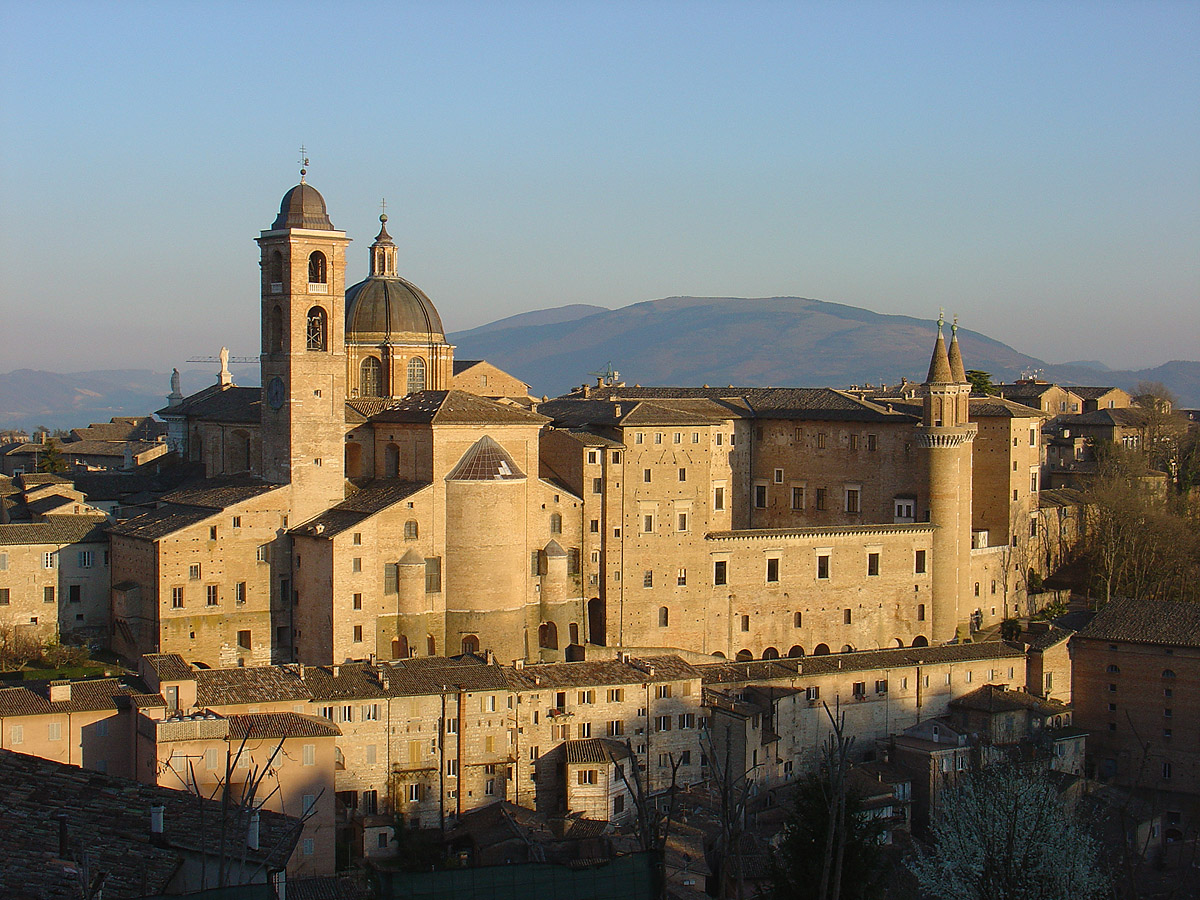 urbino
