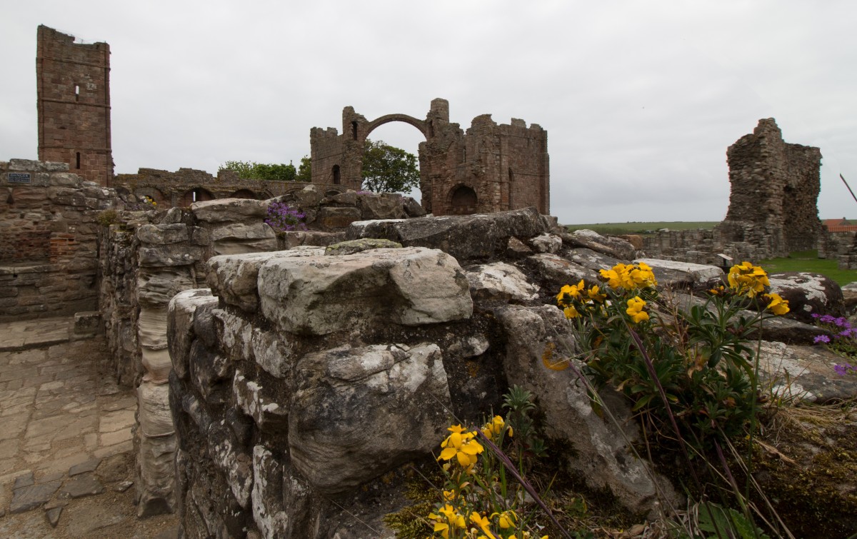 abbazia di lindisfarne in scozia 1