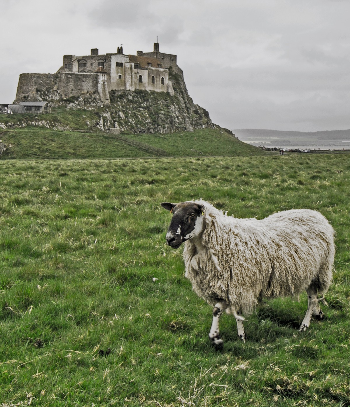 abbazia di lindisfarne
