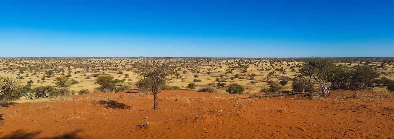 Kalahari