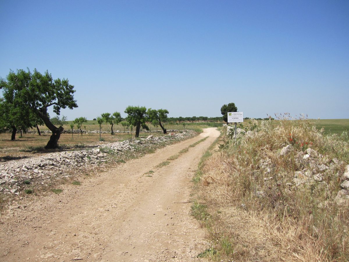 altamura