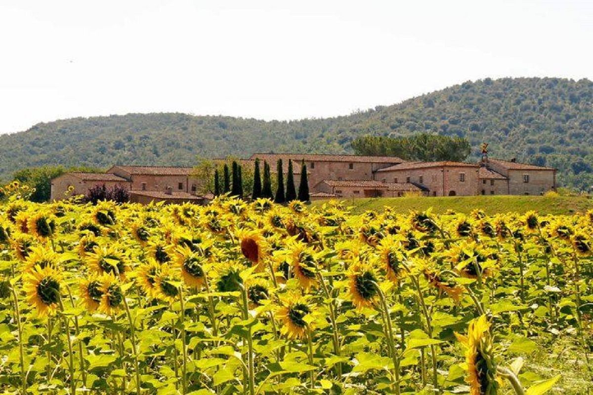 Bagnaia Siena cosa vedere