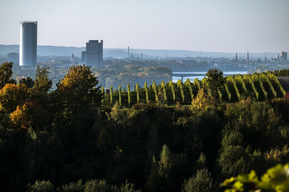 bonn