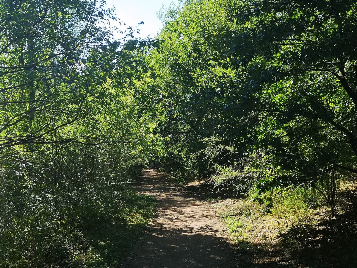 Bosco del Rugareto