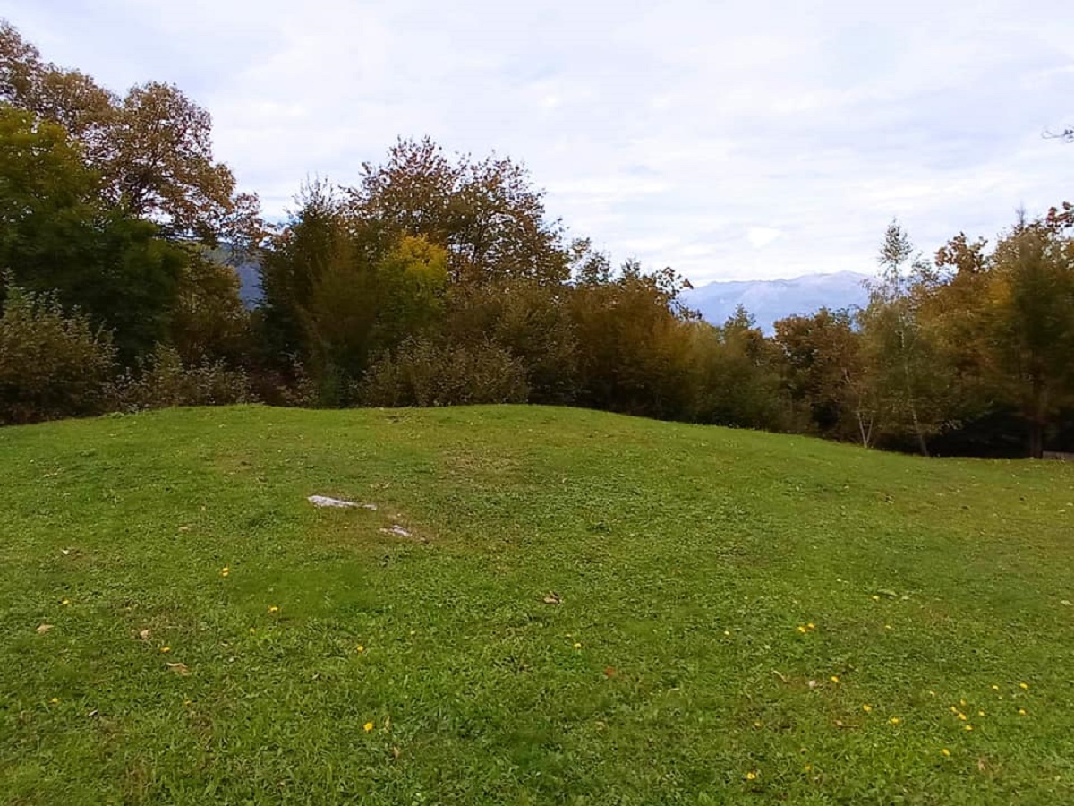 bosco valbrona