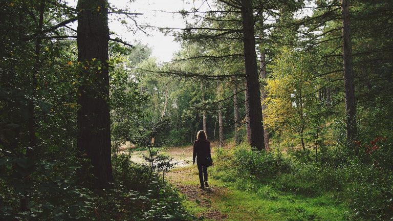camminate in solitaria