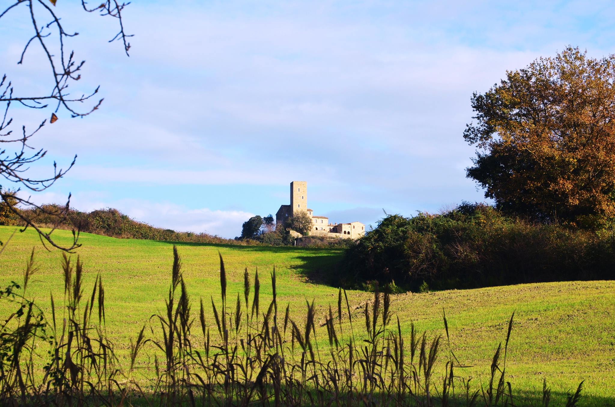 Castello di Luppiano